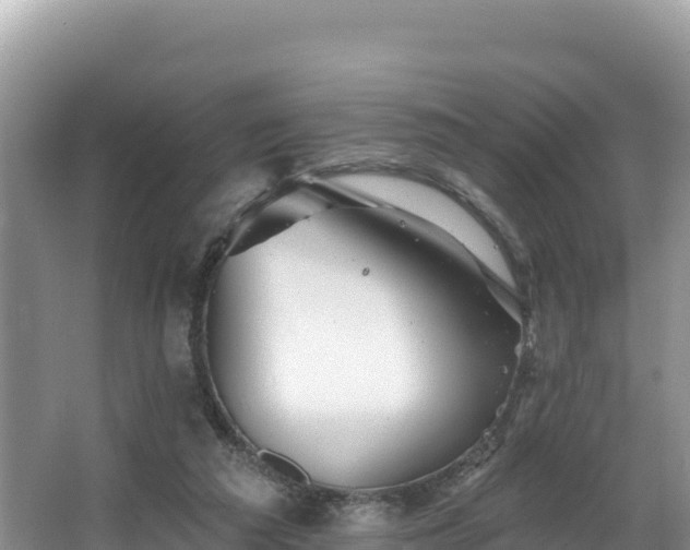 X0000067900209200604171411