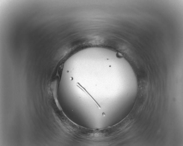 X0000067900212200604171411