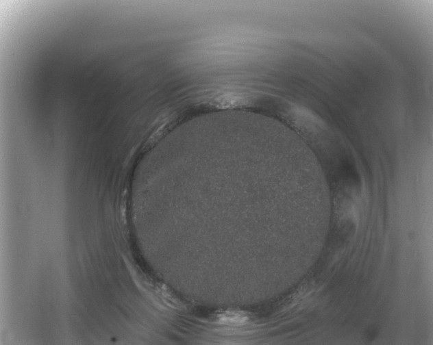 X0000067900214200604171411