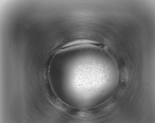 X0000067900215200604171411