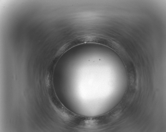 X0000067900216200604171411