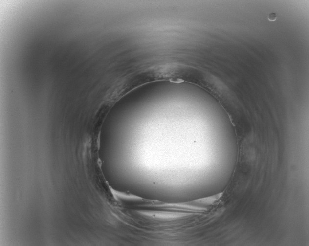 X0000067900217200604171411