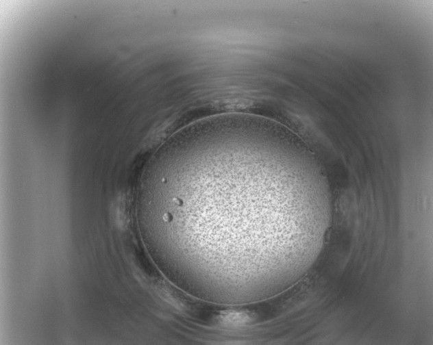 X0000067900218200604171411