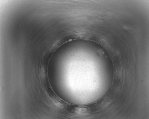 X0000067900220200604171411