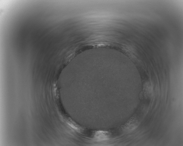 X0000067900222200604171411