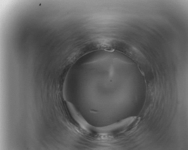 X0000067900223200604171411