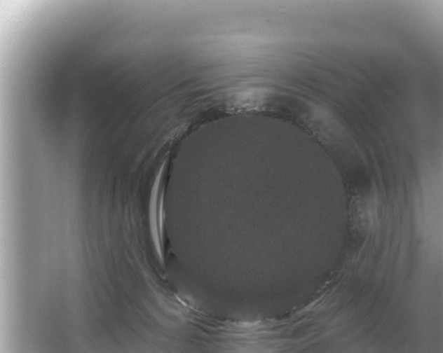 X0000067900224200604171411