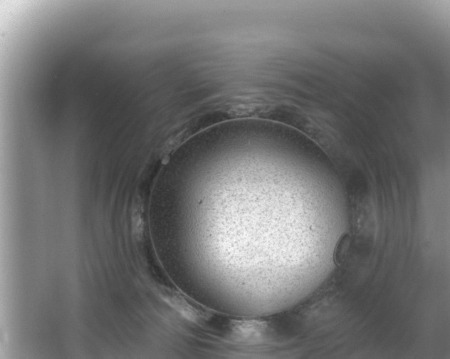 X0000067900226200604171411