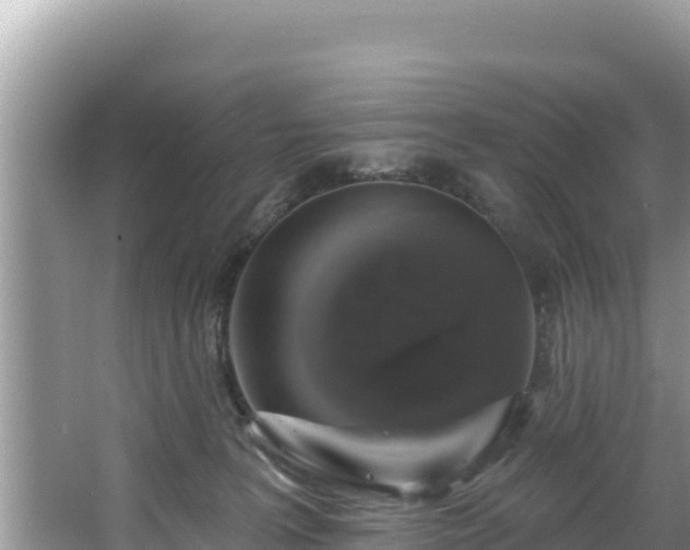 X0000067900227200604171411