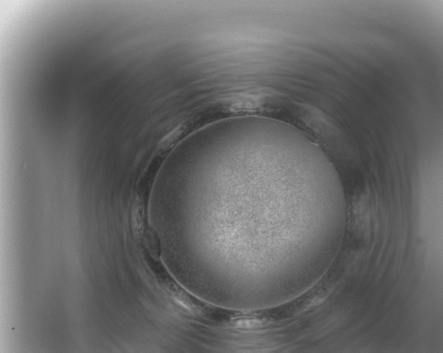 X0000067900228200604171411