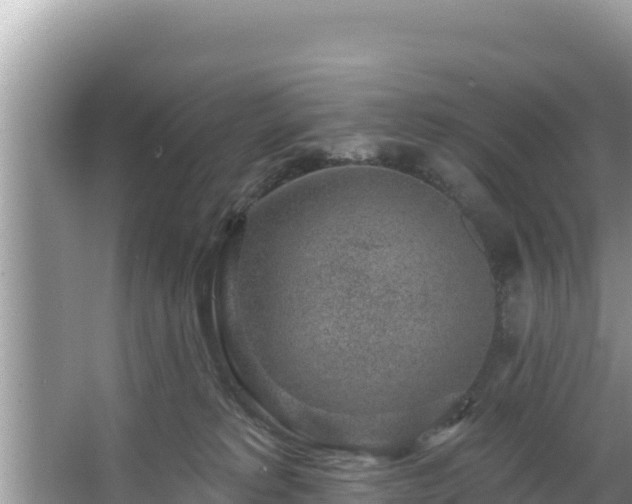 X0000067900229200604171411