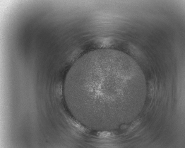 X0000067900230200604171411