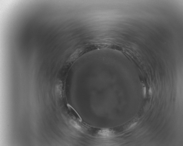 X0000067900231200604171411