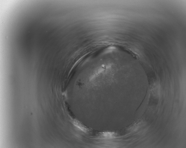 X0000067900233200604171411