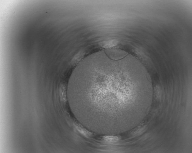 X0000067900234200604171411