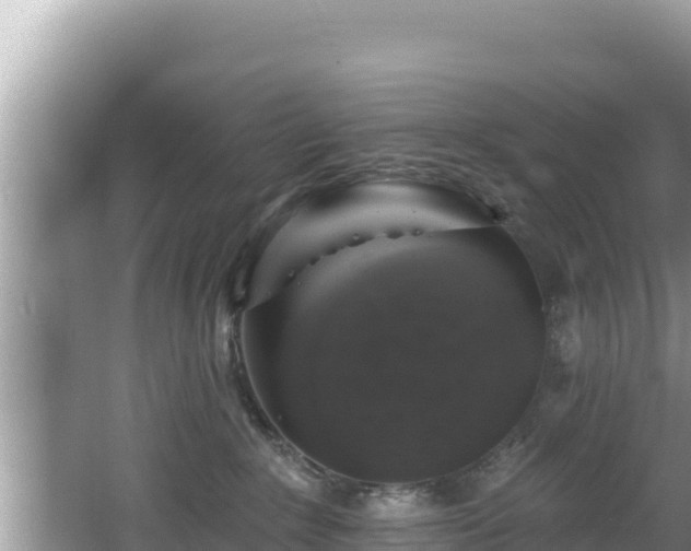 X0000067900235200604171411