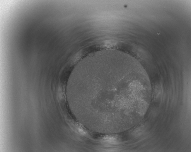 X0000067900236200604171411