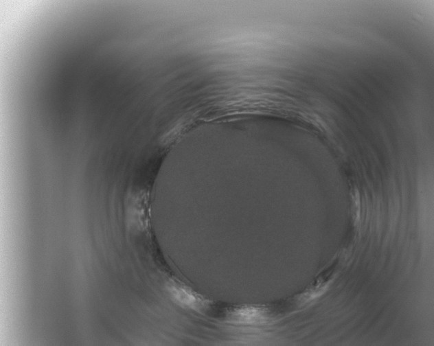 X0000067900237200604171411