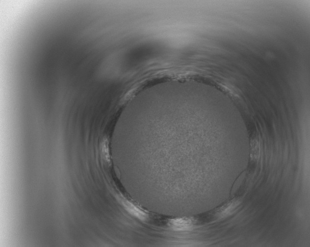 X0000067900238200604171411