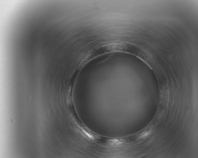 X0000067900239200604171411