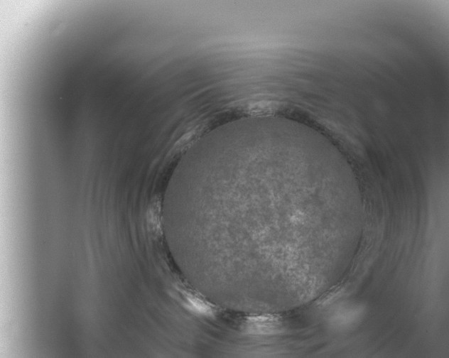 X0000067900240200604171411