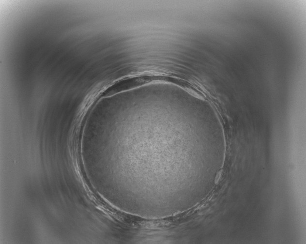 X0000067900241200604171410