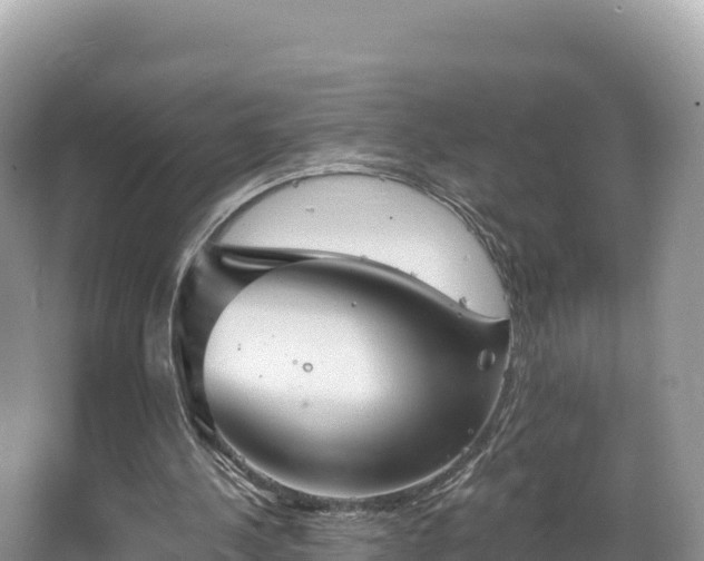 X0000067900244200604171410