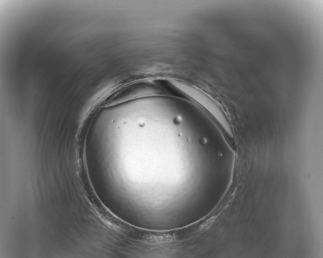 X0000067900245200604171410