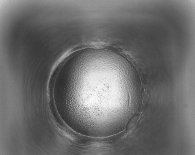 X0000067900246200604171410