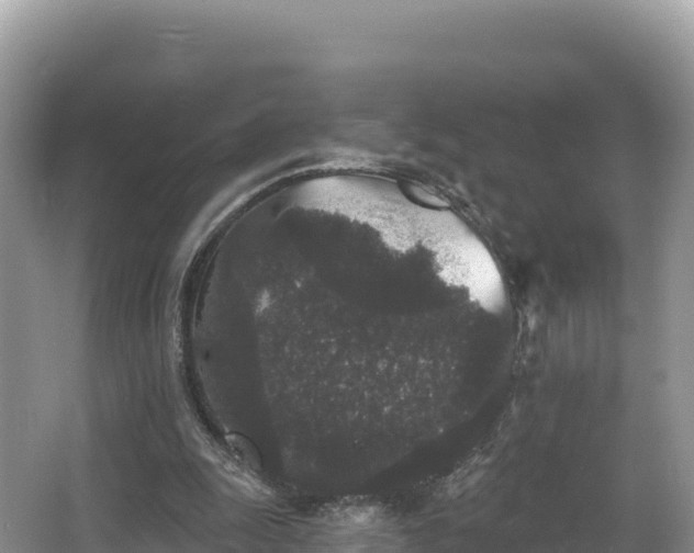 X0000067900247200604171410