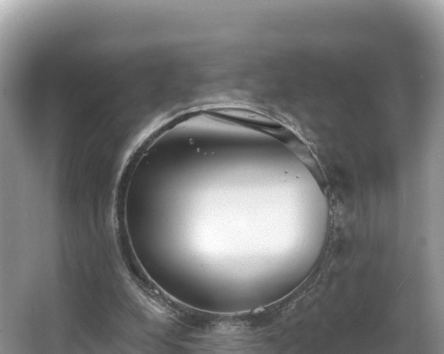 X0000067900248200604171410