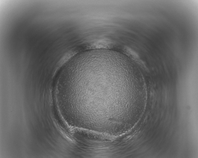 X0000067900250200604171410