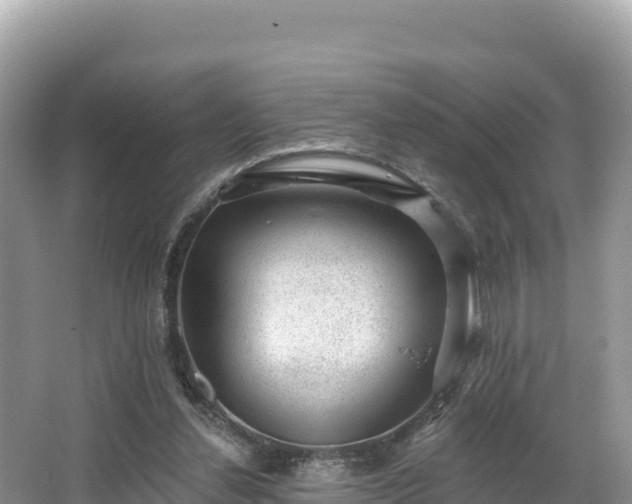 X0000067900252200604171410