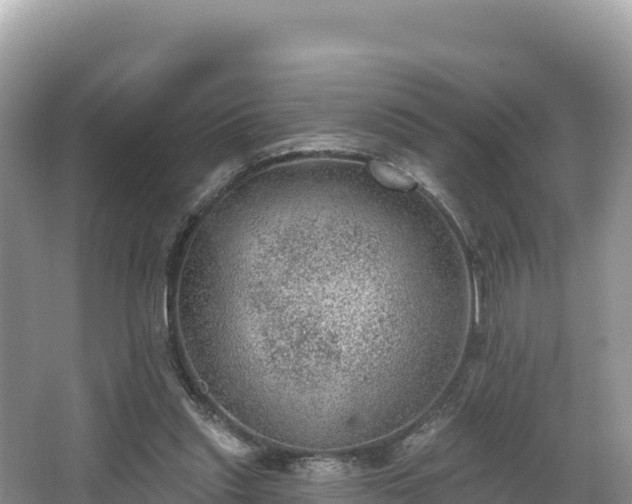 X0000067900253200604171410