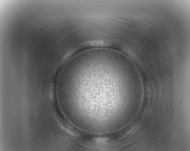 X0000067900255200604171410