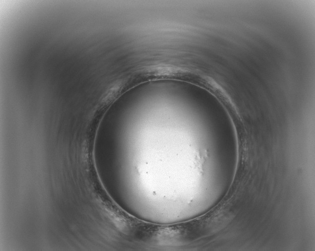 X0000067900257200604171410