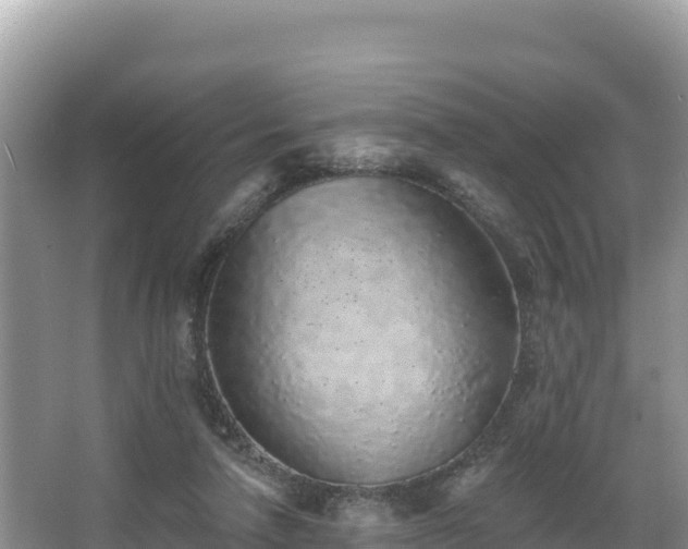 X0000067900258200604171410