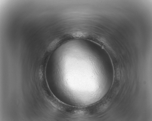 X0000067900259200604171410