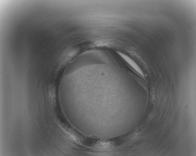 X0000067900260200604171410