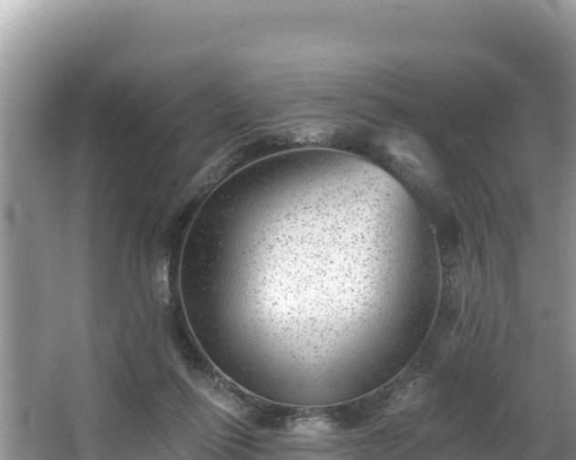 X0000067900262200604171410