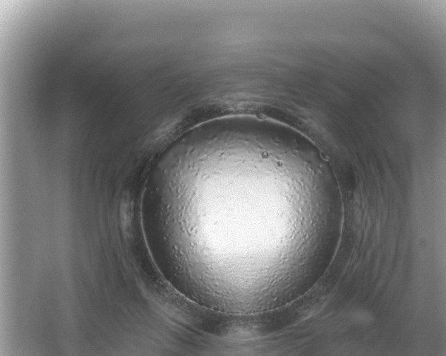 X0000067900263200604171410