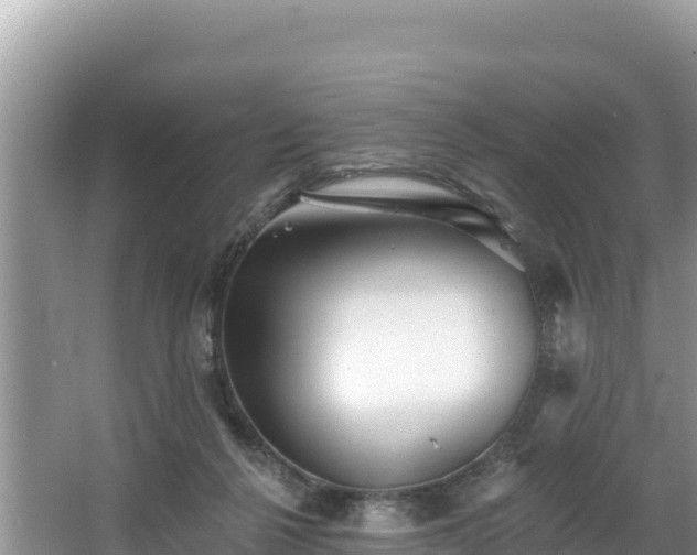 X0000067900264200604171410