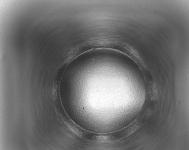 X0000067900265200604171410