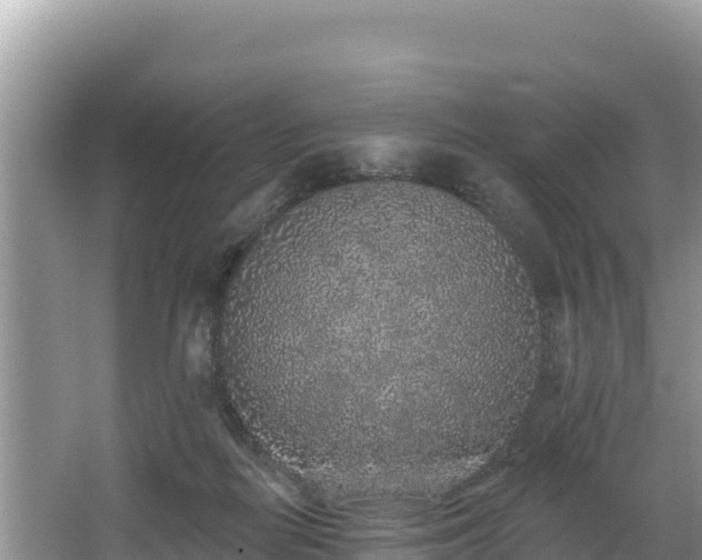 X0000067900266200604171410