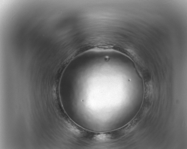 X0000067900269200604171411