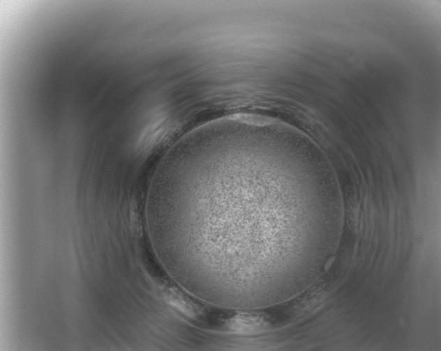 X0000067900270200604171411