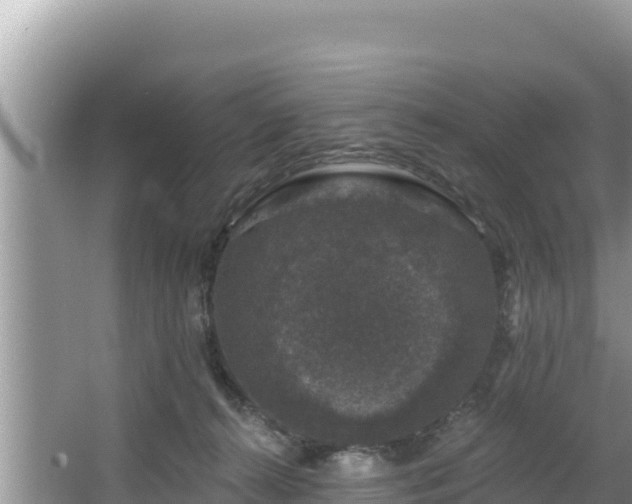 X0000067900272200604171411