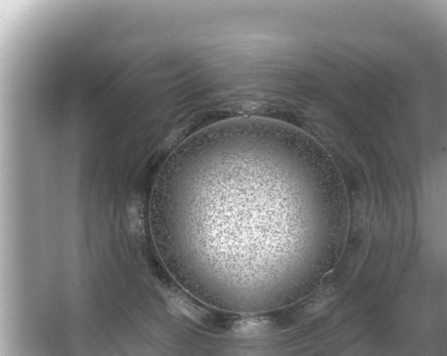 X0000067900274200604171411