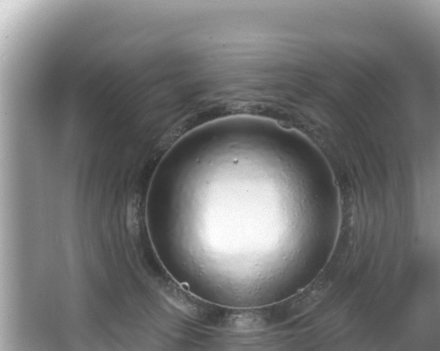 X0000067900275200604171411