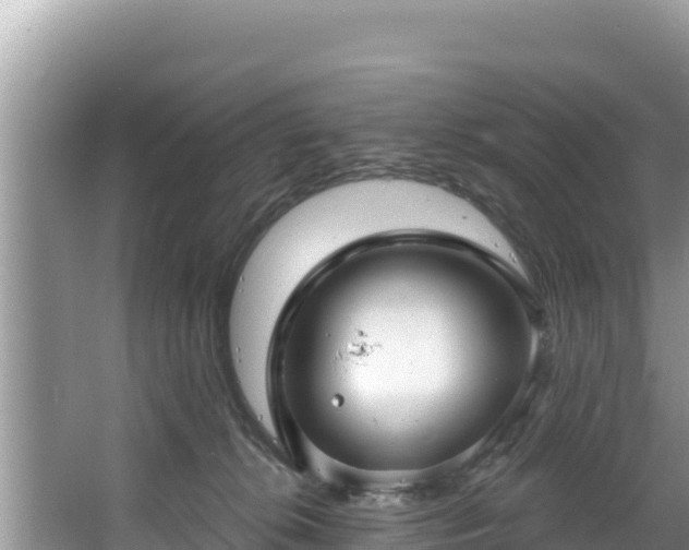 X0000067900276200604171411